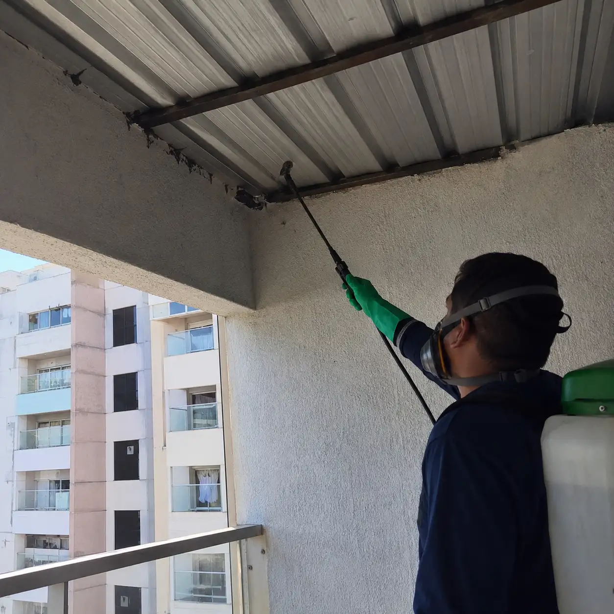 Dedetização contra insetos rasteiros